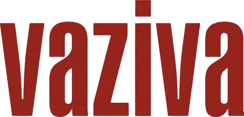 Fintech sociale - CE d'entreprise Paris Vaziva